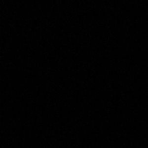 Meet your Posher, Layla